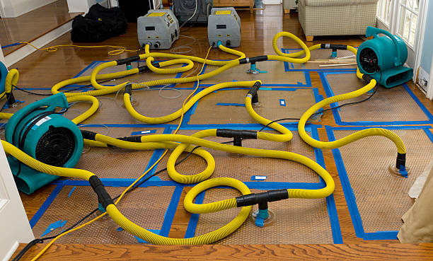 Professional Crawl Space Water Removal technician working in Stanton, TX